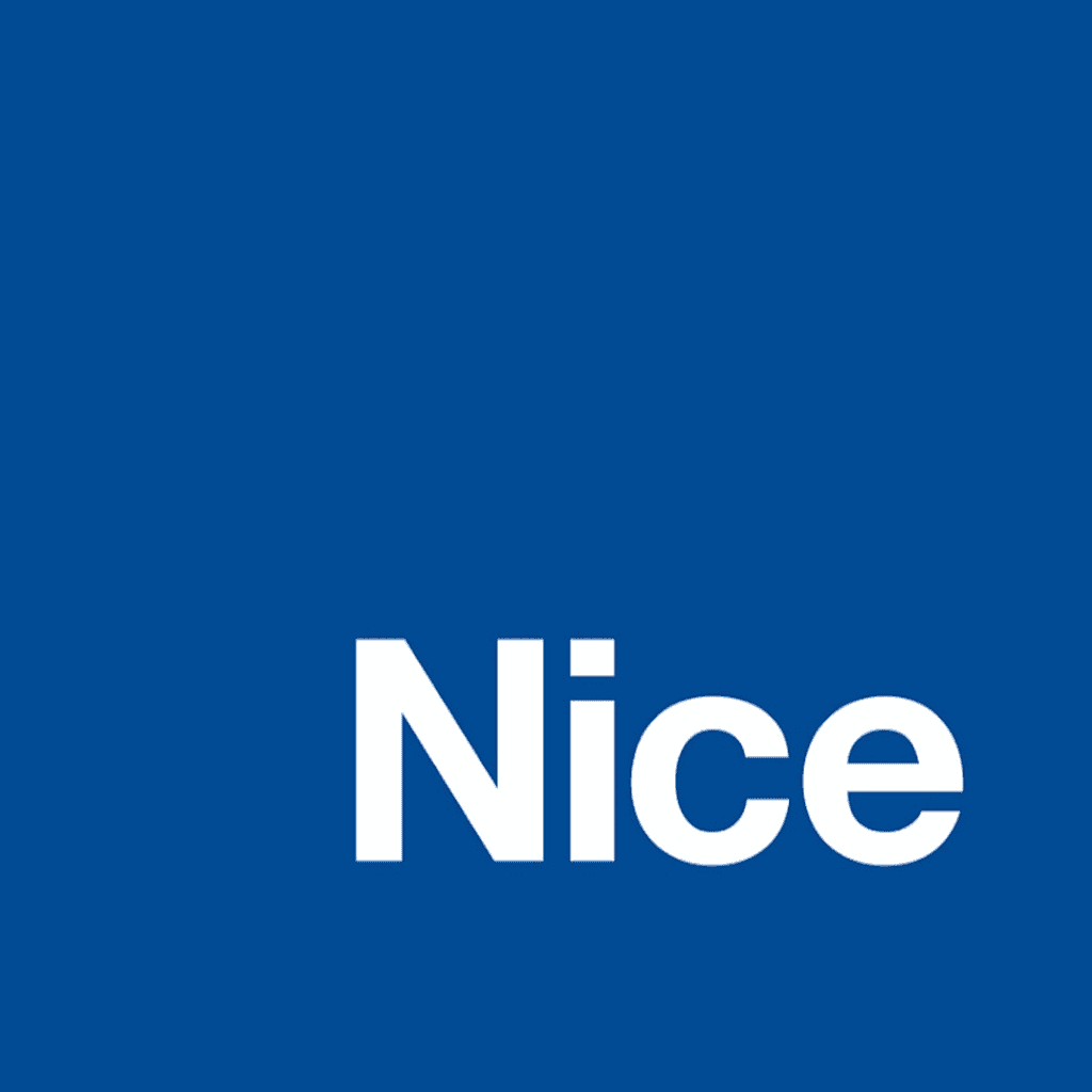Nice logo
